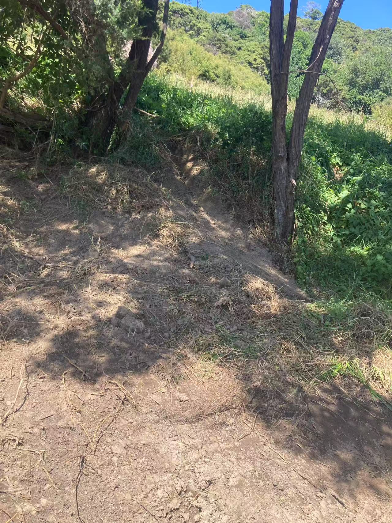 Weranui Road Development View