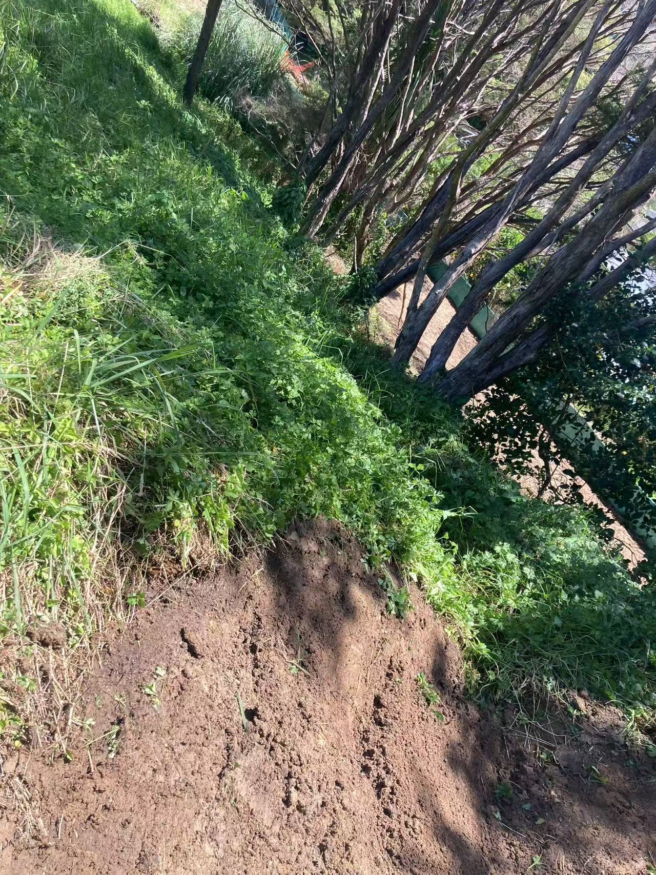 Weranui Road Infrastructure Work