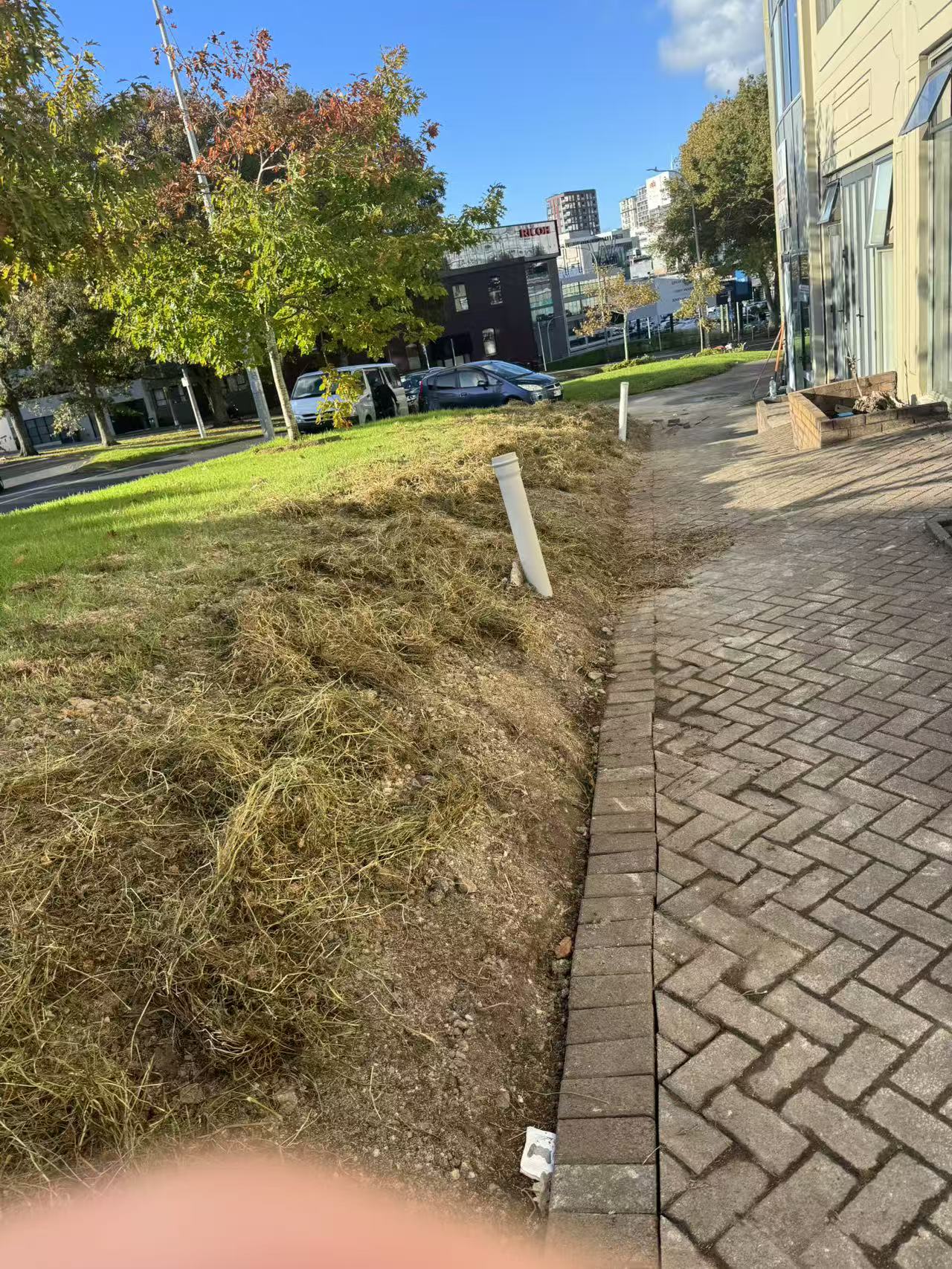 88 Cook Street Project